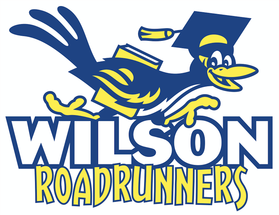 Roadrunner Background Roadrunner Background